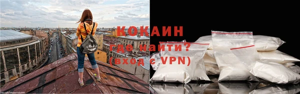 mdpv Богородск