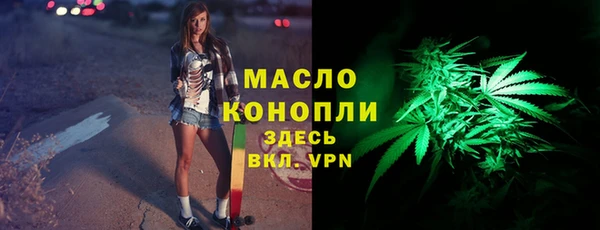 спиды Богородицк