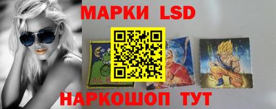 стафф Донской