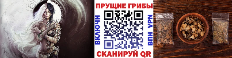 Галлюциногенные грибы Psilocybe наркошоп Гулькевичи